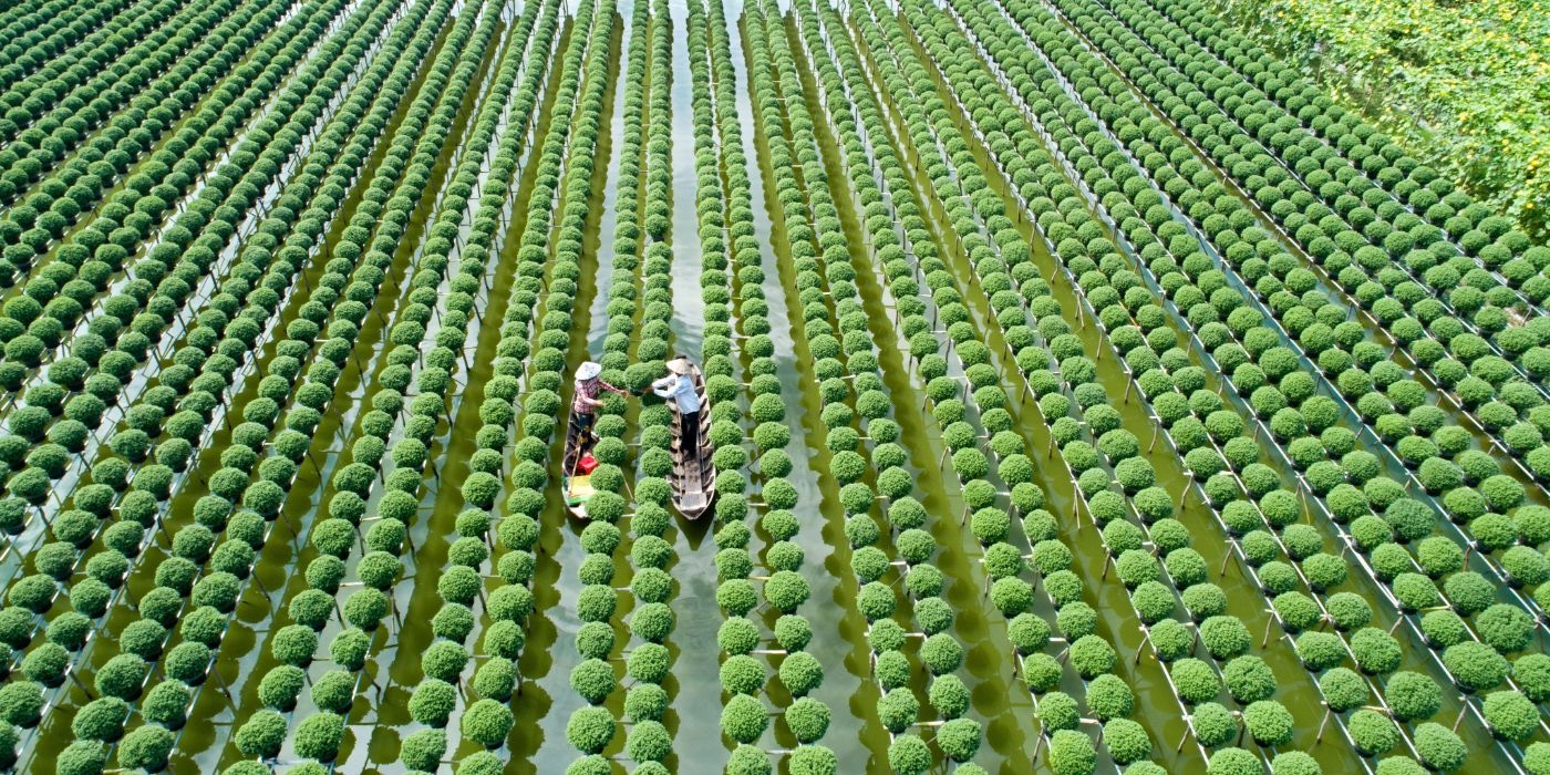 Two workers can be seen working in a lush green field